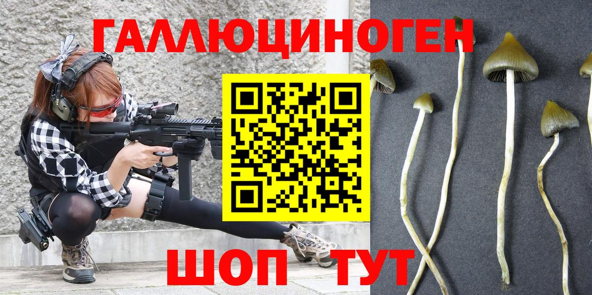 Десногорск  Галлюциногенные грибы Magic Shrooms  Вход с VPN 